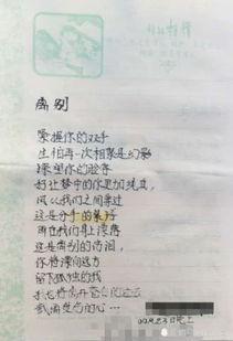 老板日记爆料大全最新,企业风云背后的真实故事